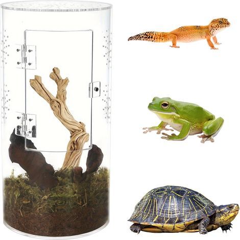 zylindrisches Terrarium, transparentes Acrylglas, Fronttür, optimale Belüftung, für Reptilien und Insekten (1/5)