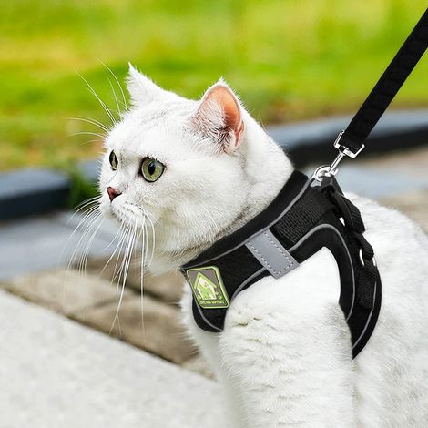 Harnais et Laisse pour Chat - Ensemble Confortable et Réglable avec Bande Réfléchissante pour Balades en Sécurité (1/5)