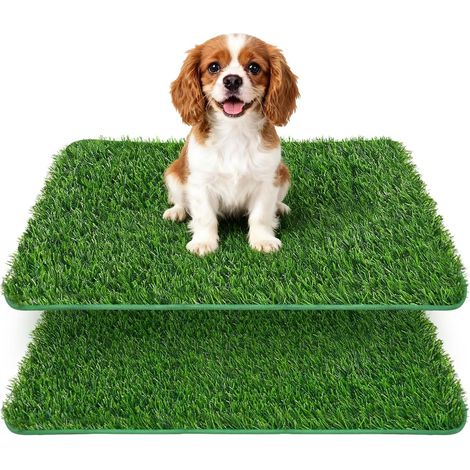 Toilette Pour Chien - Lot De 2 - Gazon Artificiel - Drainage Rapide - Intérieur Et Balcon - 58,5 x 46 cm (1/5)