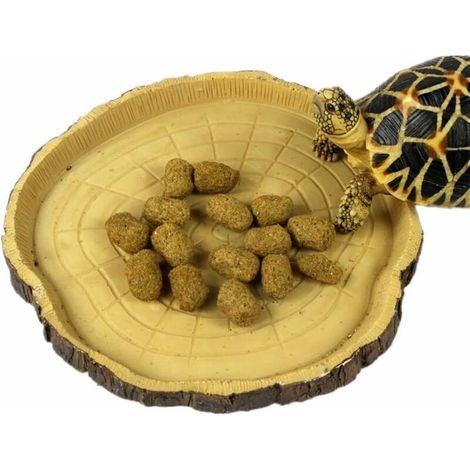 Comedero pequeño para reptiles: cuenco, bebedero, comedero para reptiles, geckos, tortugas y serpientes - Accesorios para terrarios (Strain) (1/5)
