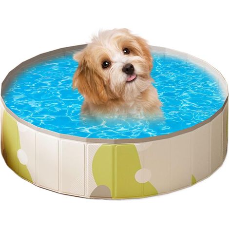 Piscine Pour Adaptée Aux Chiens - Piscine Pour Chat - Bassin En PVC (1/5)