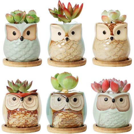Pots de fleurs en céramique de 6,5 cm, pots pour plantes succulentes avec soucoupe en bambou et motif hibou (lot de 6), avec trou de drainage, pour la maison, une étagère, le bureau, le jardin ou le s (1/5)