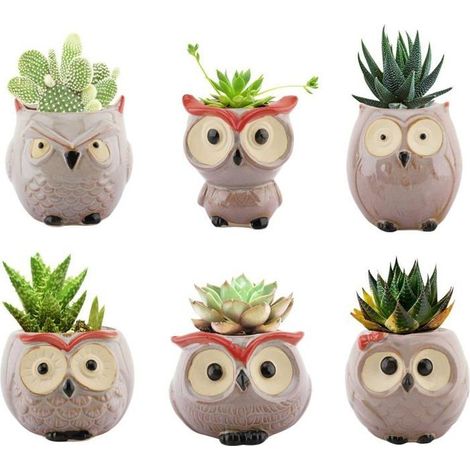 Pots pour succulentes en céramique motif hibou - Pack de 6, drainages, multicolore (1/5)