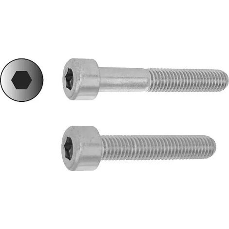 Vis à tête cylindrique en acier zingué DIN 912 - VISWOOD - 8 - 55