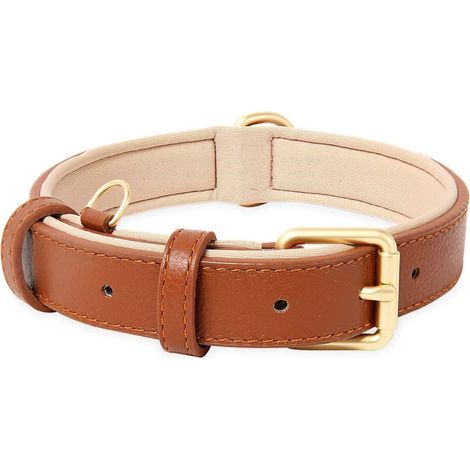 Collar de cuero para perro, ajustable, con suave almohadilla de cuero acolchada para perros pequeños, medianos o grandes, marrón, talla M (1/5)