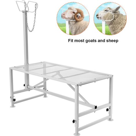 Morphorn Ziegen- und Schaf-Stand - 47x23 Zoll Vieh-Stand. Metall, höhenverstellbar von 21"bis 33". Mit Kopfstück und Nasenschlaufe, 500 Pfund Traglast. Weiß, ideal für Melken und Scheren.