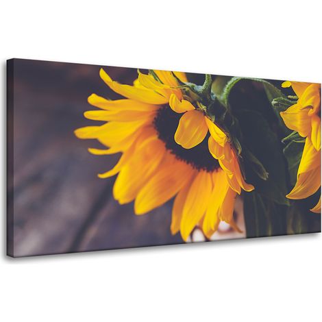 Leinwanddruck Botanik Sonnenblumen 80x40 cm