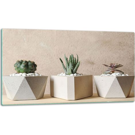 Tagliere della lastra di vetro 52x30 cactus (1/5)