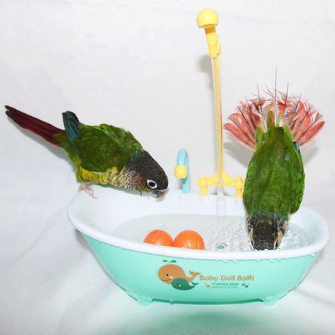 Baignoire automatique pour perroquet avec douche et mangeoire intégrées pour animaux de compagnie (1/4)