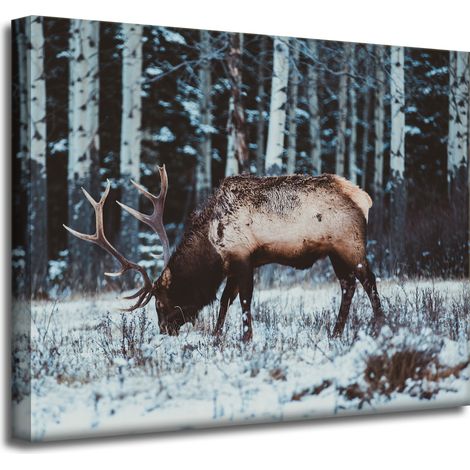 Leinwanddruck Tiere Kanadischer Hirsch 50x40