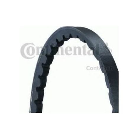 Courroie trapézoïdale Continental AVX10X600 AUDI 007753009500 068121039