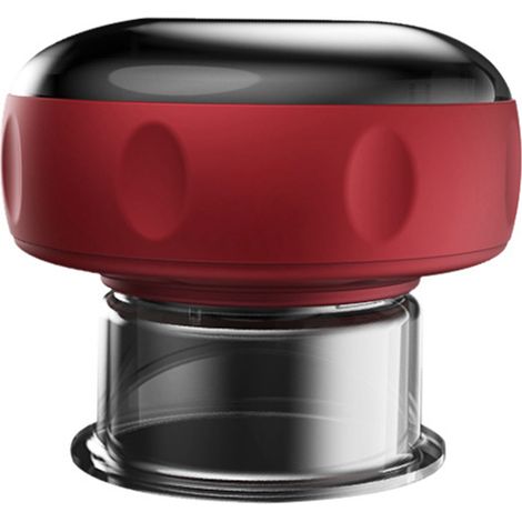Appareil de Ventouse Électrique 6 Niveaux, Prise Type C, Massage Ventouse Dynamique pour Bras, Dos et Taille, Outil de Gua Sha à Vide (1/5)
