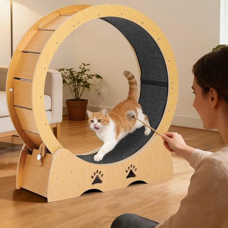 Roue d exercice pour chat intérieur bois marron silencieuse 110 cm piste moquette amovible antidérapante (1/5)