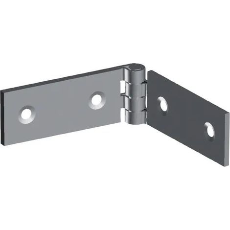 Monin Modello standard cerniera acciaio 22x120 mm