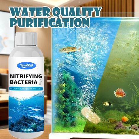 KineShineX Aquarienwasserreinigungstabletten klären und reinigen das Wasser, entfernen Trübstoffe, beseitigen Gerüche und Fischgeruch und beseitigen Algen beim Einrichten eines neuen Aquariums, ohne d (1/5)