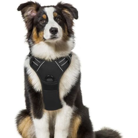 Gilet pour chien/Harnais Chien- Noir taille M -- Réglable Réfléchissant Matériau Respirant (1/4)