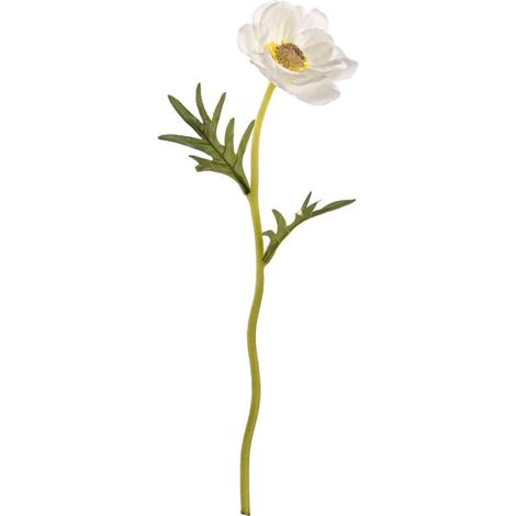 Anémona blanca 30cm