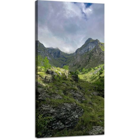 Impression sur toile Nature Montagnes envahies par la végétation 40x80 cm