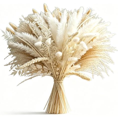 Lot de 70 Pampas Blancs – Bouquet Fleurs Séchées 43 cm (1/5)