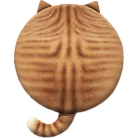 Coussin rond en mousse à mémoire de forme, coussin de chaise, tapis pour animaux de compagnie à motif chat orange