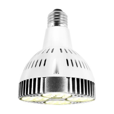 Ampoule LED E27 20W, spectre de croissance des plantes, lumière blanche chaude, pour jardin intérieur et serre (1/4)