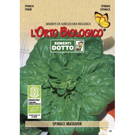 SEMENTI SPINACI MATADOR