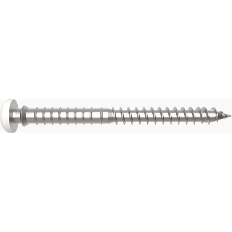 Schraube sfs-intec-sas sptr v6 14 verstellbare Tiefe zylindrischer Kopf