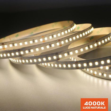 Striscia Led Serie H.E. 90W 13000lm 24V IP65 PCB 11mm bobina da 800 SMD 2835 - Naturale 4000K (1/3)