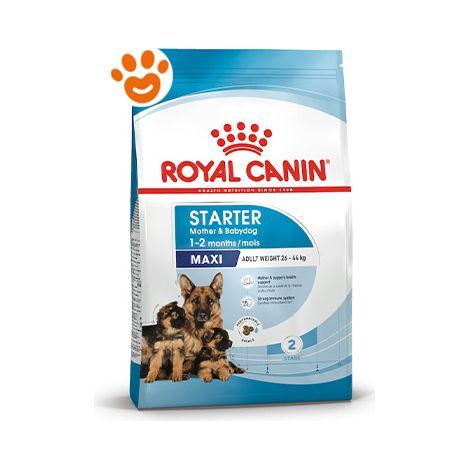 Royal Canin Dog Maxi Starter Mother & Babydog  - Royal Canin Dog Maxi Starter Mother & Babydog - Sacco Da 4 Kg