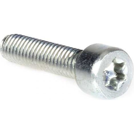 Vis Torx 27 M6 x 25 pour tronçonneuse Stihl 019 MS190 (1/4)