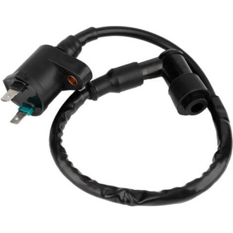 Bobine d'allumage GY6125 adaptée pour moto moteur 50CC 150CC 250cc (1/4)