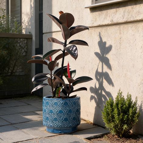 Pot de fleurs en céramique bleu Ø24 cm pour succulentes (1/5)