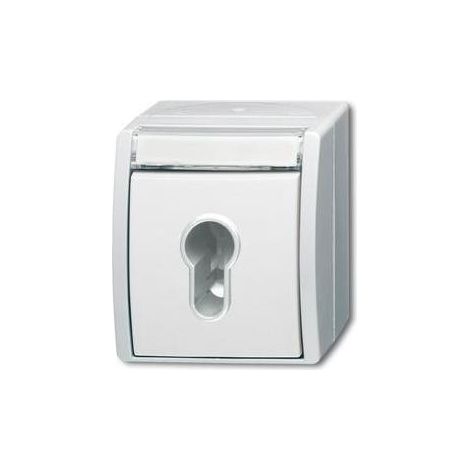 Busch-Jaeger Schlüsselschalter 2733 SLW-54 (1/5)