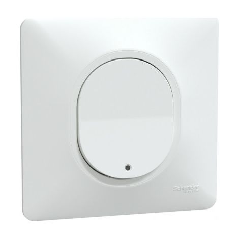 Interruttore Schneider Electric ovalis 10A 250V