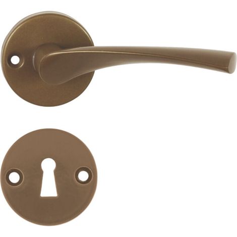 Poignée de porte EVA-R F4 BB Poignée avec rosace BB pour clé (1/5)