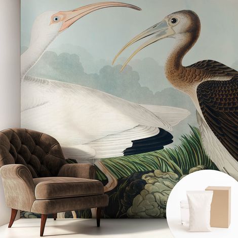 Tapete Vliestapete mit Kleber - trendige Wanddeko - elegant Fototapete für Wohnzimmer - Schlafzimmer Vogelpaar 250x250 cm (1/5)