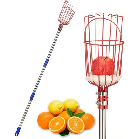 Cueille-Fruit pour Pommes, Poires, Agrumes - Démontable 4M Cueillettes avec Panier Antichoc, Outil de Récolte Léger en Acier Inoxydable pour Jardin, Verger (1/4)