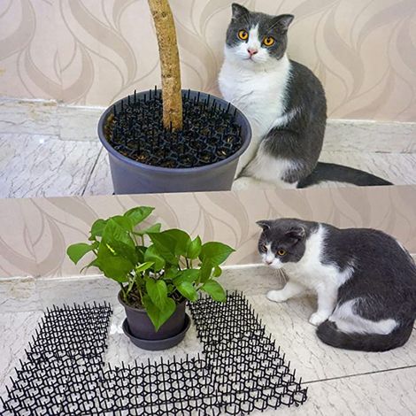 10 pièces filet anti-chat jardin plastique, protection épines animaux, grillage dissuasif extérieur (1/5)