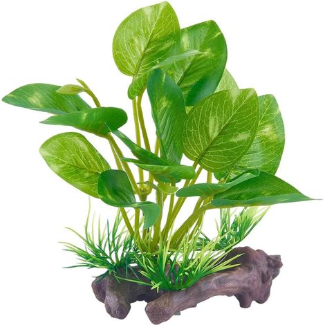 Plantes Artificielles Plastique pour Aquarium Décorations Réalistes pour Reptiles Amphibiens Cachettes pour Poissons Rouges Bettas pour Aquarium Petite Grande Taille Terrarium 12x9.7x7.5cm (1/5)