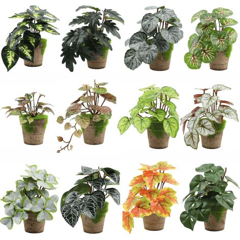 Plante Artificielle - Monstera Mini - Pot Inclus - Résistant Aux UV - Pour Intérieur Bureau Étagère Salle De Bain Décoration Jungle - Lot De 1 (1/5)
