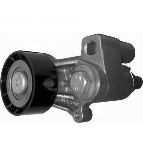 Keilriemenspannrolle für Peugeot 206, 306, 406, 605, 806 1.9D und 2.1D.