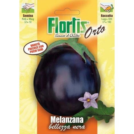 MELANZANA NERA
