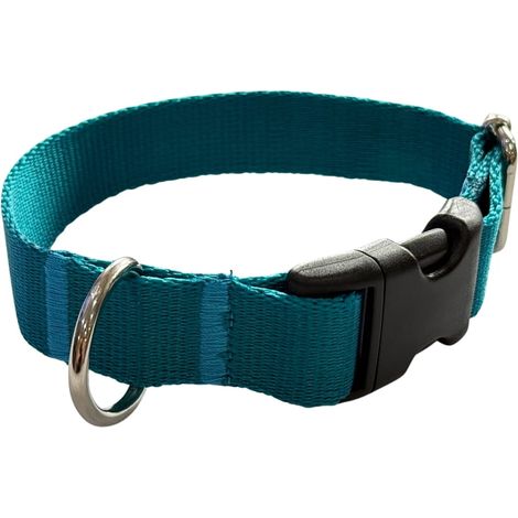 Collier pour chien 2 cm avec boucle réglable turquoise. Taille M : 30-45 cm. (1/4)