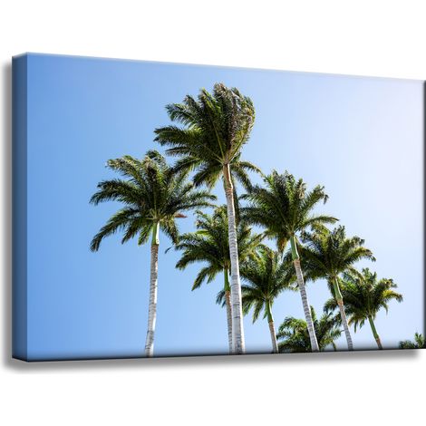Leinwanddruck Natur Palmen 60x40 cm