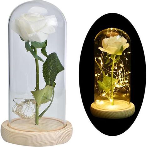 Rose Éternelle LED - Décoration Lumineuse en Soie avec Couvercle en Verre - Pour Maison Bureau Chambre - 1 Pièce (1/5)
