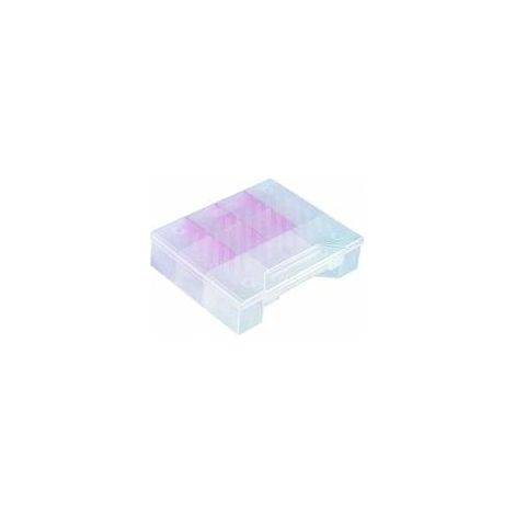 Curver Contenedor para Pequeños Artículos L, transparente, ideal para organización y almacenamiento, alta resistencia y durabilidad, perfecto para el hogar y la oficina.