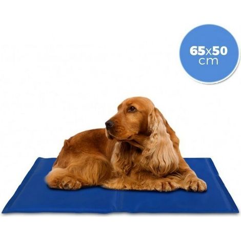 Tapis Rafraîchissant Pour Chien 65 x 50 cm Gel Actif Non Toxique Prêt à L'emploi Nettoyage Facile Avec Chiffon Humide Accessoire Confort Animal