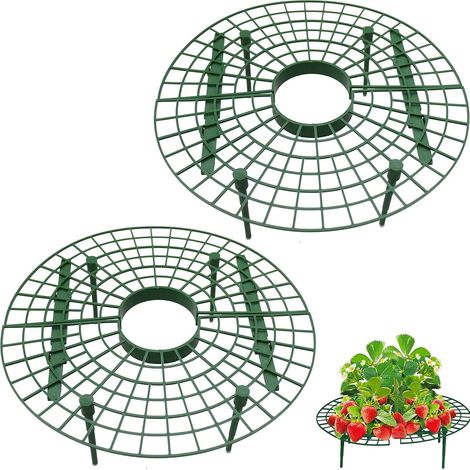 Bac à Semis Plateau Semis Transparente en Plastique,12 Trous Plateau de Semis Hydratant et Préservant Chaleur, Mini Serre pour Semis avec Couvercle et Ventilation Durables 18.514.511CM 2Pcs Vert (1/5)