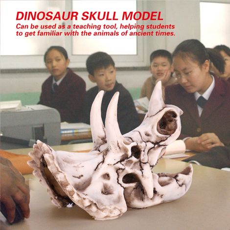 Schädel eines Triceratops aus Kunstharz, realistisch nachgebildetes Skelett, dekorative Figur für Büro, Wohnzimmer, Regal, prähistorisches Ornament, Sammlerstück. (1/5)