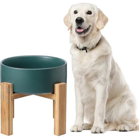 Gamelle surélevée en céramique blanche pour chat, plateau pour nourriture avec support, gamelle surélevée pour eau ou nourriture anti-venin, gamelle pour animaux avec tapis antidérapant en caoutchouc (1/5)